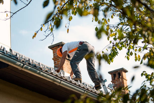 Best Metal Roofing Contractor  in Hannahs Mill, GA